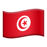 🇹🇳