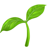 🌱