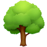 🌳