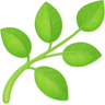 🌿