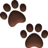 🐾