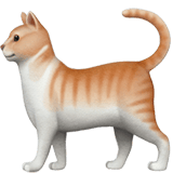 🐈